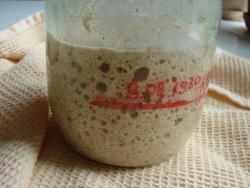 Закваска для бездрожжевого хлеба - шаг 8 Закваска для бездрожжевого хлеба - шаг 8