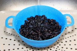 Жимолость на зиму - шаг 3