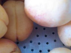 Абрикосовая настойка - шаг 3