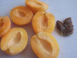 Абрикосовая настойка - шаг 4