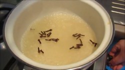 Апельсиново-гвоздичный ликер - шаг 2