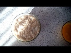 Булочки ромашка или те самые по 9 копеек. - шаг 1