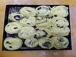 Булочки с изюмом и маком на сдобном тесте - шаг 8 Булочки с изюмом и маком на сдобном тесте - шаг 8