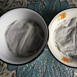 Чай ферментированный из листьев черной смородины - шаг 2 Чай ферментированный из листьев черной смородины - шаг 2