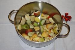 Чай из свежих яблок-дичков - шаг 2 Чай из свежих яблок-дичков - шаг 2