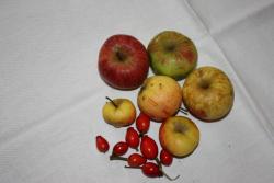 Чай из свежих яблок-дичков - шаг 1 Чай из свежих яблок-дичков - шаг 1