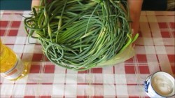 Паста из чесночных стрелок на зиму - шаг 1 Паста из чесночных стрелок на зиму - шаг 1