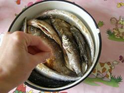 Домашняя рыбка горячего копчения - шаг 2