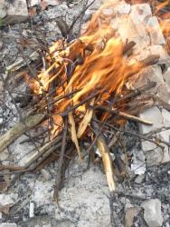 Домашняя рыбка горячего копчения - шаг 3