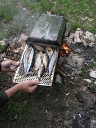 Домашняя рыбка горячего копчения - шаг 8