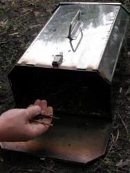 Домашняя рыбка горячего копчения - шаг 4