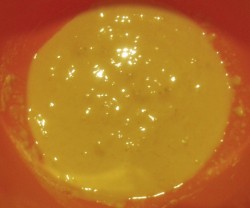 Дрожжевые блины без яиц - шаг 2