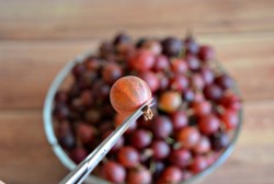 Джем из крыжовника на зиму простой - шаг 2 Джем из крыжовника на зиму простой - шаг 2