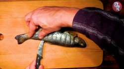 Форель домашнего копчения - шаг 5