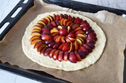 Галета со сливами на творожном тесте - шаг 9 Галета со сливами на творожном тесте - шаг 9