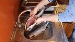 Горбуша холодного копчения - шаг 5