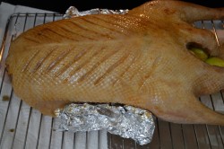 Запеченный гусь с яблоками и алычой в духовке - шаг 5 Запеченный гусь с яблоками и алычой в духовке - шаг 5