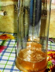 Имбирь с медом - шаг 8 Имбирь с медом - шаг 8