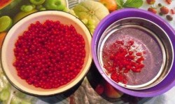 Калина с сахаром в блендере - шаг 2 Калина с сахаром в блендере - шаг 2