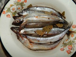 Килька пряного посола в домашних условиях - шаг 4