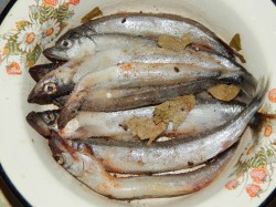 Килька пряного посола в домашних условиях - шаг 5