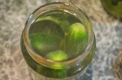 Кислые соленые огурцы на зиму в банках без уксуса - шаг 11