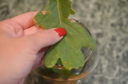 Кислые соленые огурцы на зиму в банках без уксуса - шаг 5