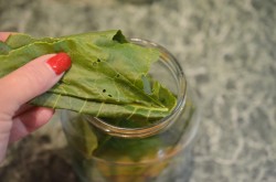 Кислые соленые огурцы на зиму в банках без уксуса - шаг 7