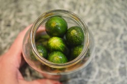 Кислые соленые огурцы на зиму в банках без уксуса - шаг 8