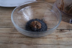 Конфеты из сухофруктов и орехов своими руками - шаг 8