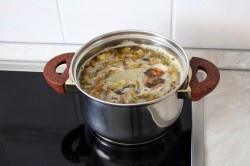 Грибной суп из шампиньонов с вермишелью и картофелем - шаг 11 Грибной суп из шампиньонов с вермишелью и картофелем - шаг 11
