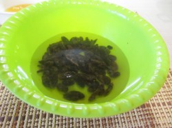 Маковая начинка для рулета - шаг 3 Маковая начинка для рулета - шаг 3