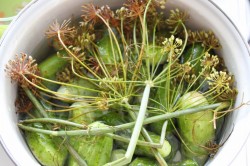 Малосольные огурчики на минералке - шаг 3