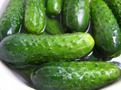 Малосольные огурцы быстрой засолки - шаг 2 Малосольные огурцы быстрой засолки - шаг 2