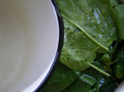 Малосольные огурцы быстрой засолки - шаг 6 Малосольные огурцы быстрой засолки - шаг 6