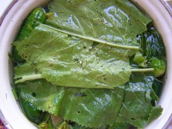 Малосольные огурцы быстрой засолки - шаг 7 Малосольные огурцы быстрой засолки - шаг 7