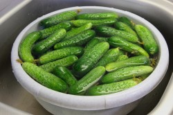 Маринованные огурцы стерилизованные - шаг 2 Маринованные огурцы стерилизованные - шаг 2