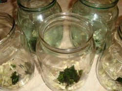 Маринованный перец с медом на зиму - шаг 7 Маринованный перец с медом на зиму - шаг 7