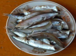 Мойва жареная на сковороде - шаг 3