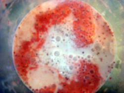 Клубничный молочный коктейль из клубники и мороженого - шаг 7