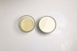 Мороженое из сливок и сгущенки домашнее - шаг 1