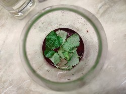 Наливка из черной смородины в домашних условиях - шаг 6 Наливка из черной смородины в домашних условиях - шаг 6