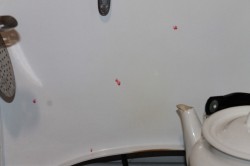 Компот из калины - шаг 4