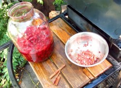 Настойка из вишни на спирту Домашняя - шаг 3 Настойка из вишни на спирту Домашняя - шаг 3