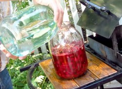 Настойка из вишни на спирту Домашняя - шаг 4 Настойка из вишни на спирту Домашняя - шаг 4