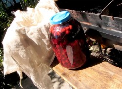 Настойка из вишни на спирту Домашняя - шаг 5 Настойка из вишни на спирту Домашняя - шаг 5