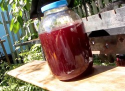 Настойка из вишни на спирту Домашняя - шаг 7 Настойка из вишни на спирту Домашняя - шаг 7