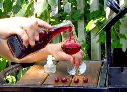 Настойка из вишни на спирту Домашняя - шаг 8 Настойка из вишни на спирту Домашняя - шаг 8