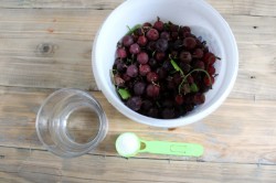 Настойка из ягод на водке домашняя - шаг 1 Настойка из ягод на водке домашняя - шаг 1