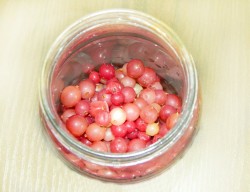 Настойка из ягод на водке домашняя - шаг 2 Настойка из ягод на водке домашняя - шаг 2